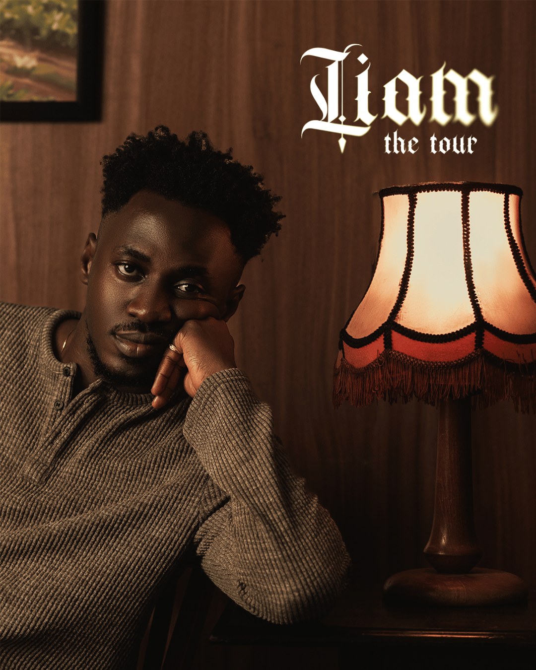 Anendlessocean LIAM The Tour poster for the Abuja show on 21 November 2026