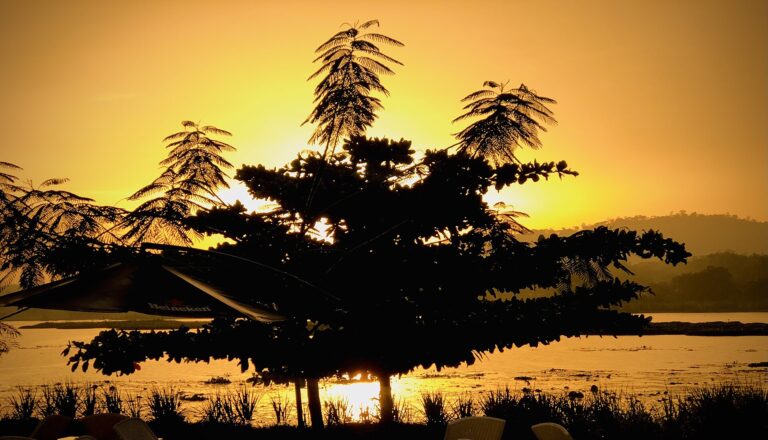 Date Night in Abuja: 15 Romantic Ideas for Every Budget