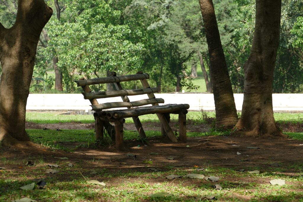 A wooden bench in the shade of trees at Millennium Park, Abuja