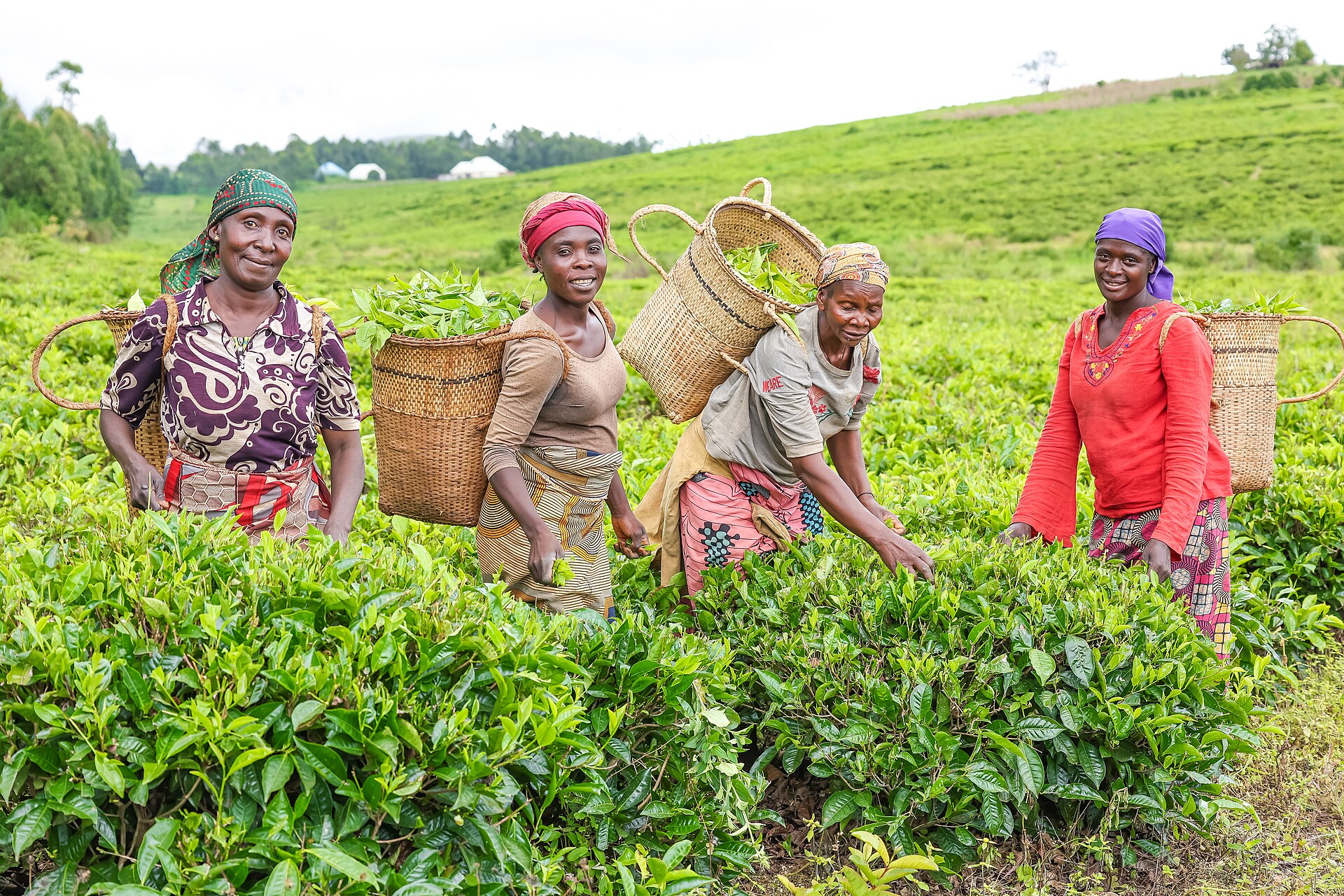 Nigerian International Tea & Coffee Festival 2026